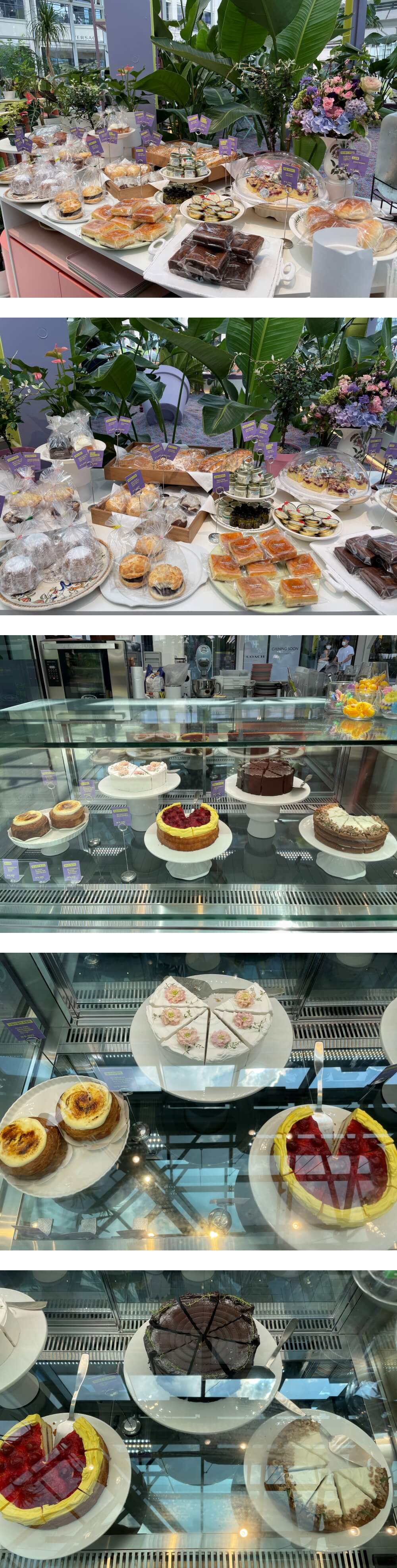 카페-웁스어데이지베이커리-및-디저트