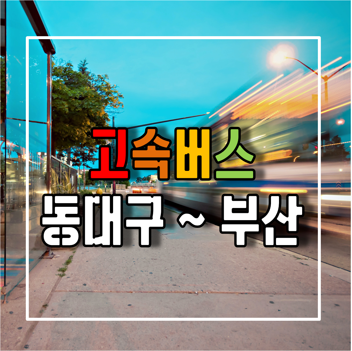 동대구에서 부산가는 고속버스 시간표 및 예매