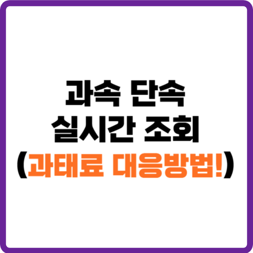 과속 단속 실시간 조회