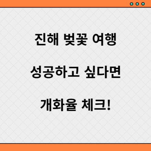 진해 군항제 벚꽃 개화