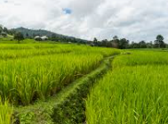 농민수당 신청 자격 및 신청 방법