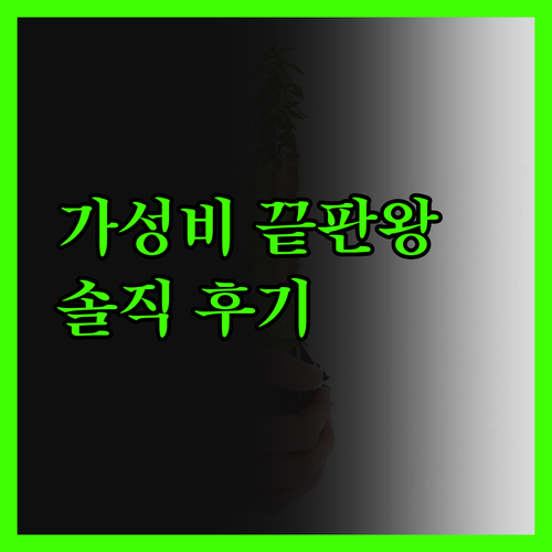 솔직 후기 톈진 올림픽 스포츠센터 호