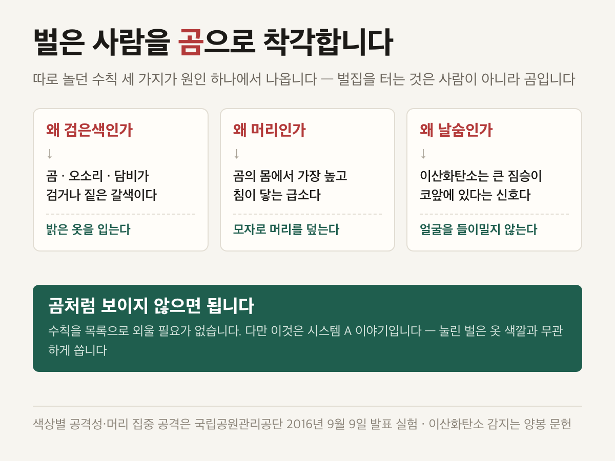 검은색, 머리, 날숨이라는 세 가지 수칙이 모두 곰이라는 천적에서 나온다는 설명