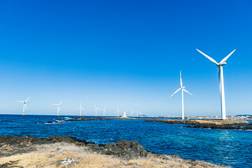 제주도 여행 필수품 탐나는전