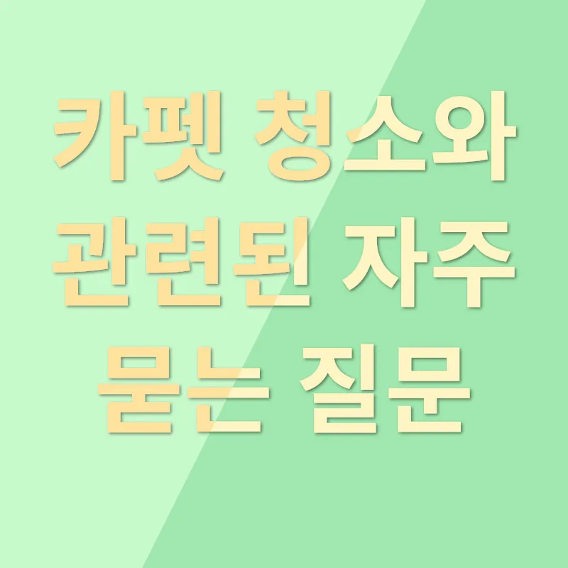 카펫 청소_4