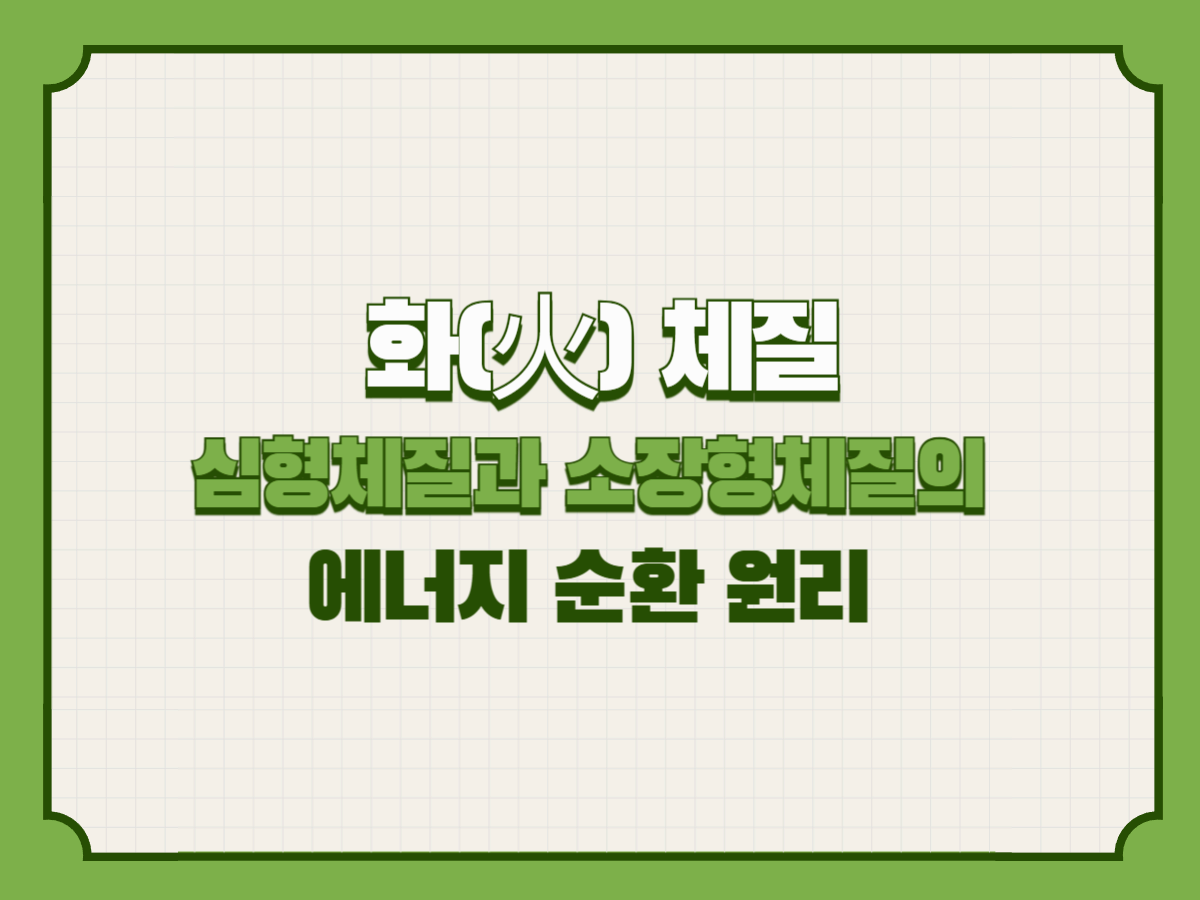 화(火) 체질 – 심형체질과 소장형체질의 에너지 순환 원리