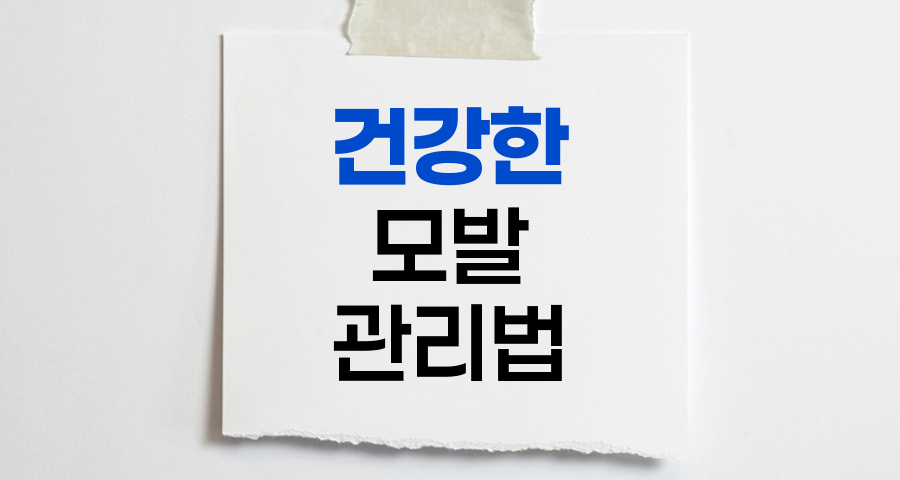 건강한 모발을 위한 일상 관리법