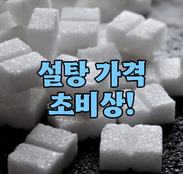 설탕 가격 초비상