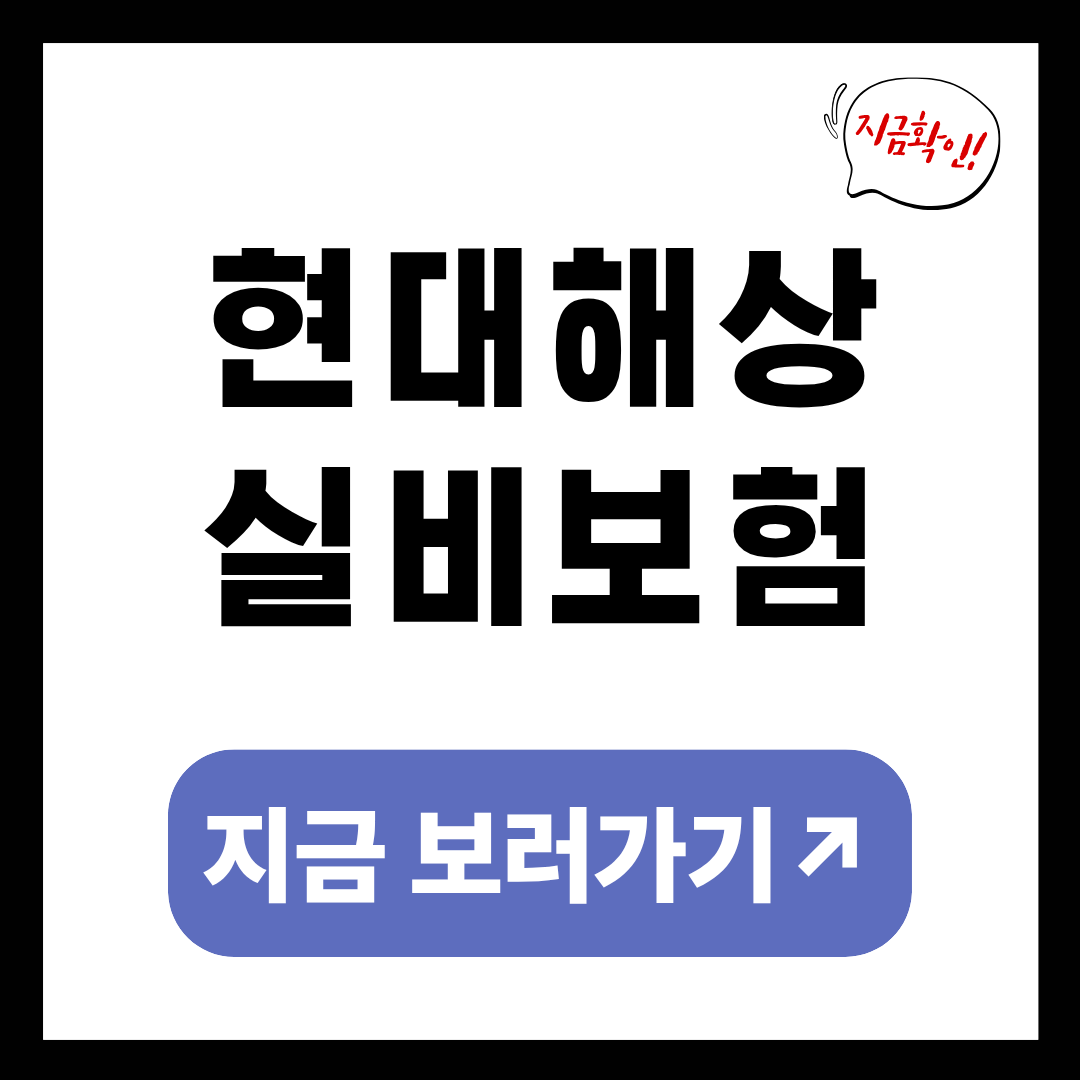 현대해상 실비보험