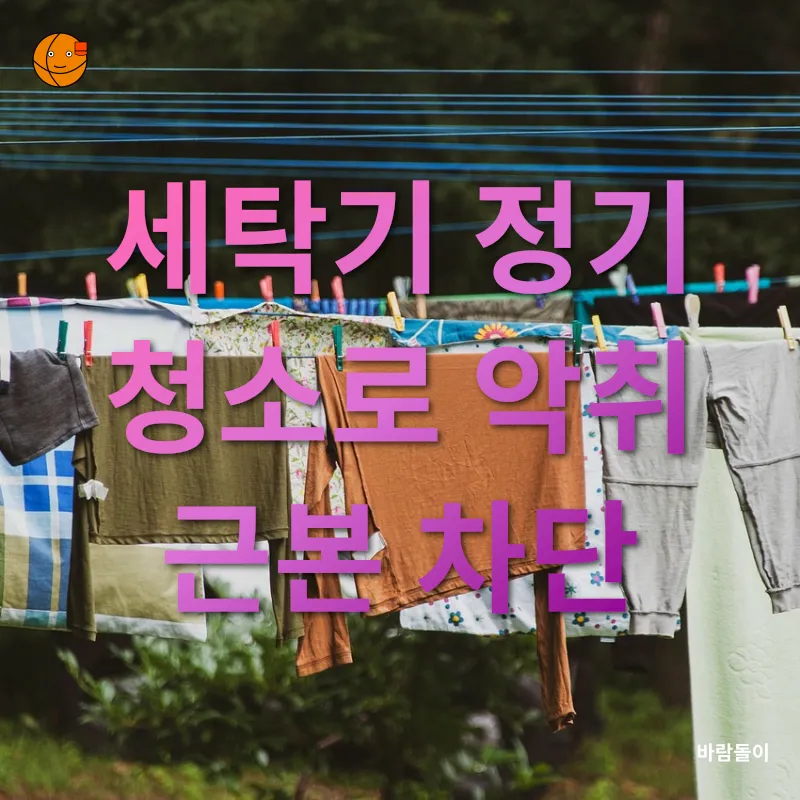 가을 빨래 관리_2