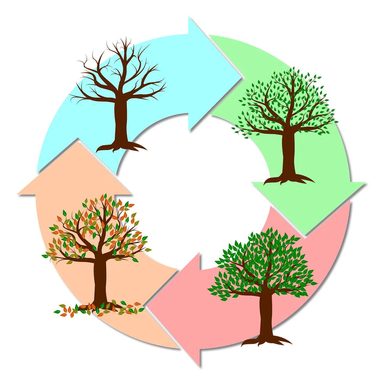 계절별 진드기 관리 체크리스트 &ndash; 봄부터 겨울까지 완벽 대응하기