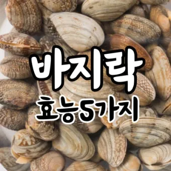 바지락 효능 보관방법 씻는법 해감시키는법_24