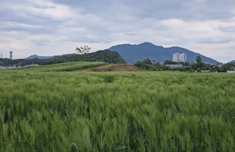 충주탄금공원
