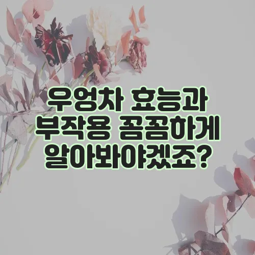 우엉차 효능과 부작용 꼼꼼하게 알아봐야겠죠?