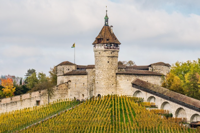 계몽절대주의가 예술·건축에 끼친 영향 분석
