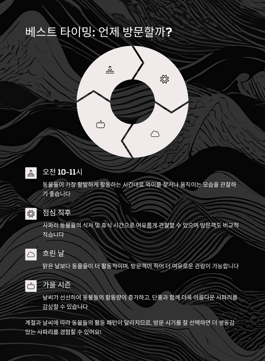 에버랜드 자유이용권으로 사파리 즐기기! 대기 없이 즐기는 법