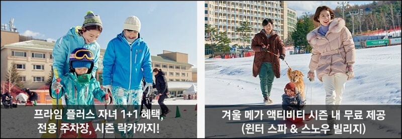 휘닉스파크-평창-공통혜택