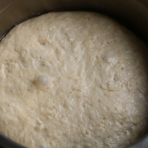 24시간 후 2배 커진 빵 반죽