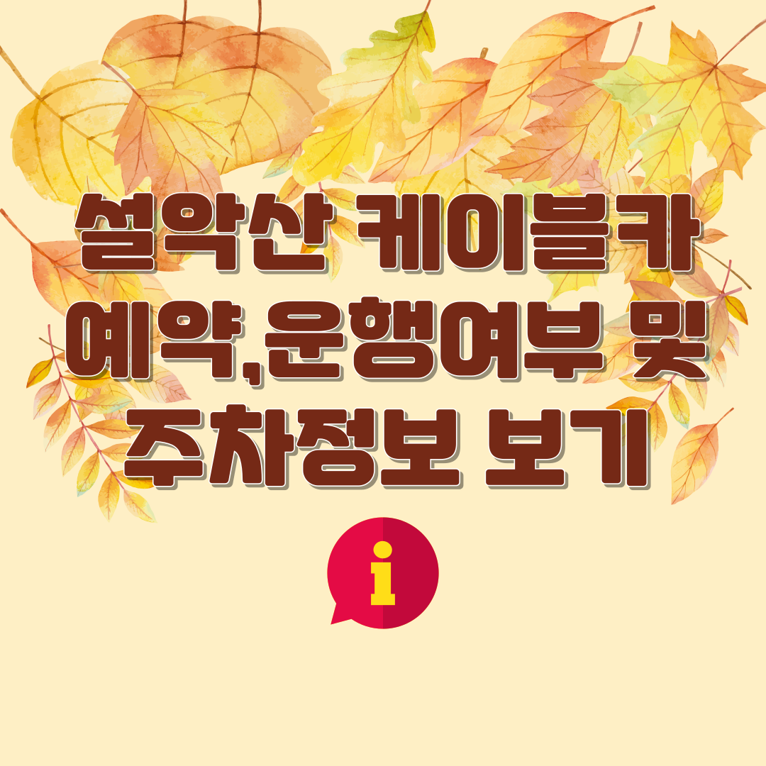 설악산케이블카예약주차정보