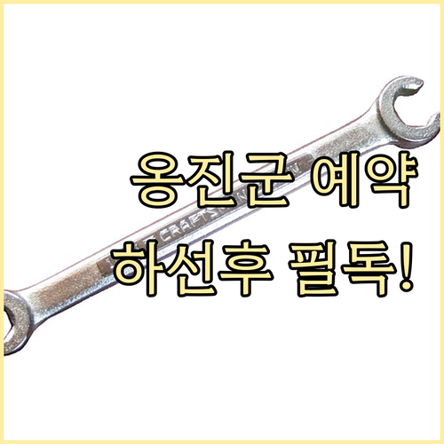 옹진군 차량 정비 예약 방법 및 연안..