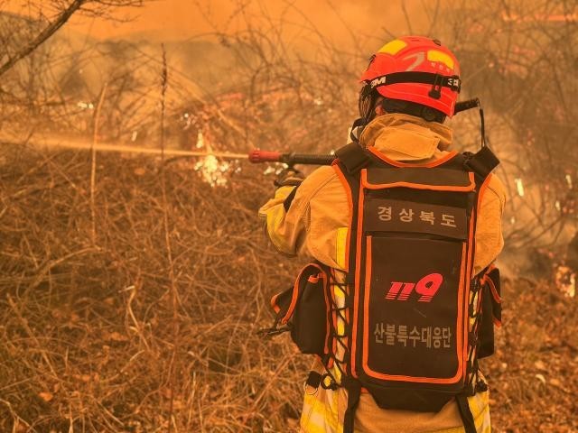 의성군 산불 진화 관련 사진