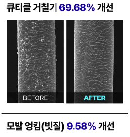 닥터방기원 랩 트리트먼트 주요성분