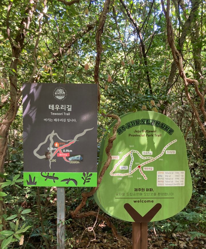 제주 곶자왈 도립공원