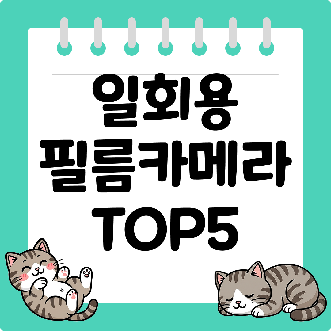 아날로그 후지 감성 일회용 필름 카메라 추천 순위 TOP5