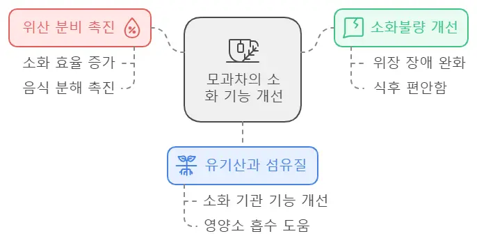 모과차 소화기능 개선 효능