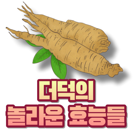 더덕 효능
