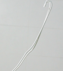 변기에 칫솔 들어갔을 때 빼는 법