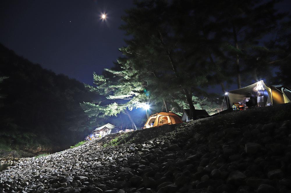 인생캠핑장, 영월 솔밭캠프장 소개