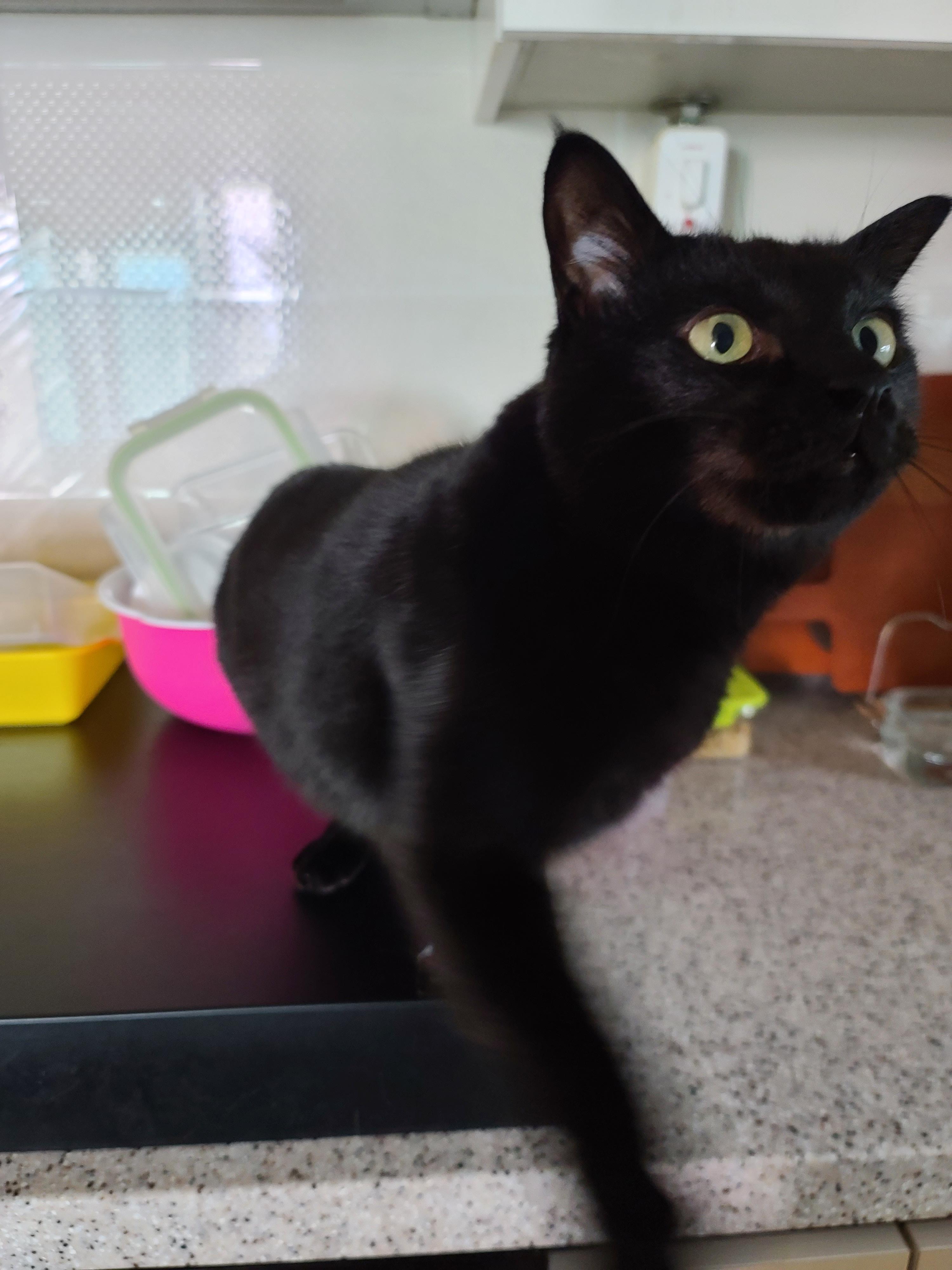 사랑스러운 스토커 건! (feat. 건이 콧구멍 ㅋㅋ)