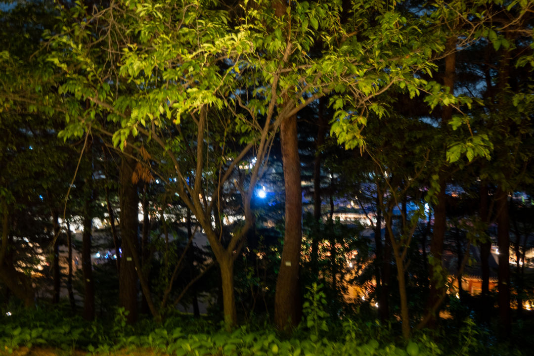 수원 화성행궁 뒷길