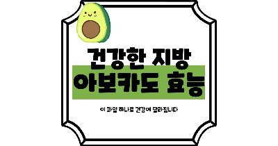 아보카도 효능