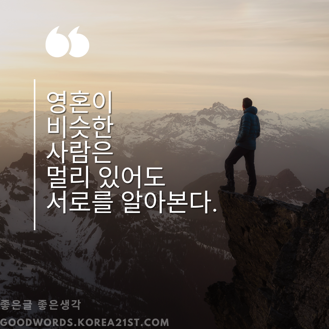 쇼펜하우어 명언 모음 좋은 글귀