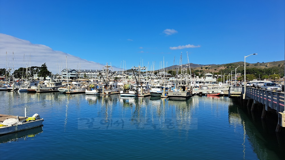 Pillar Point Harbor