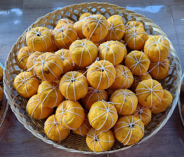 유자쌍화차 면역력 감기예방 보약차 만들기