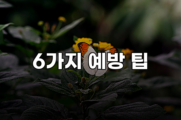 6가지 예방 팁