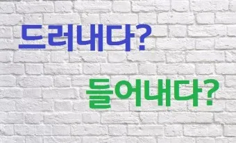 드러내다 들어내다 맞춤법 표현 예문_11