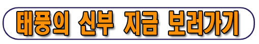 태풍의 신부 재방송