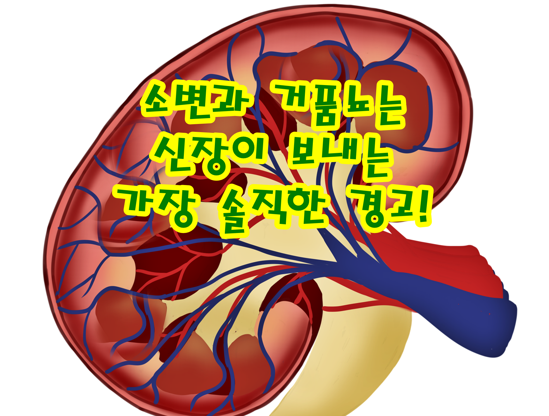 소변과 거품뇨는 신장이 보내는 가장 솔직한 경고!