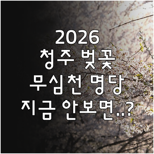 2026 청주 벚꽃 축제 일정 무심천..