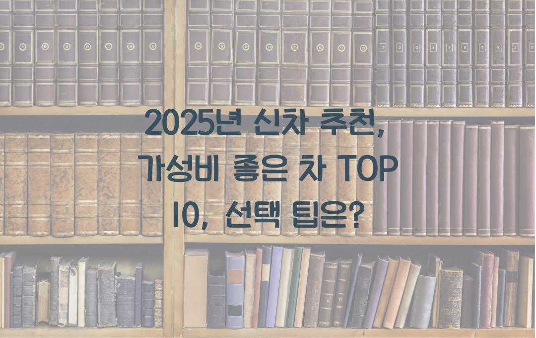 2025년 신차 추천: 가성비 좋은 차 TOP 10