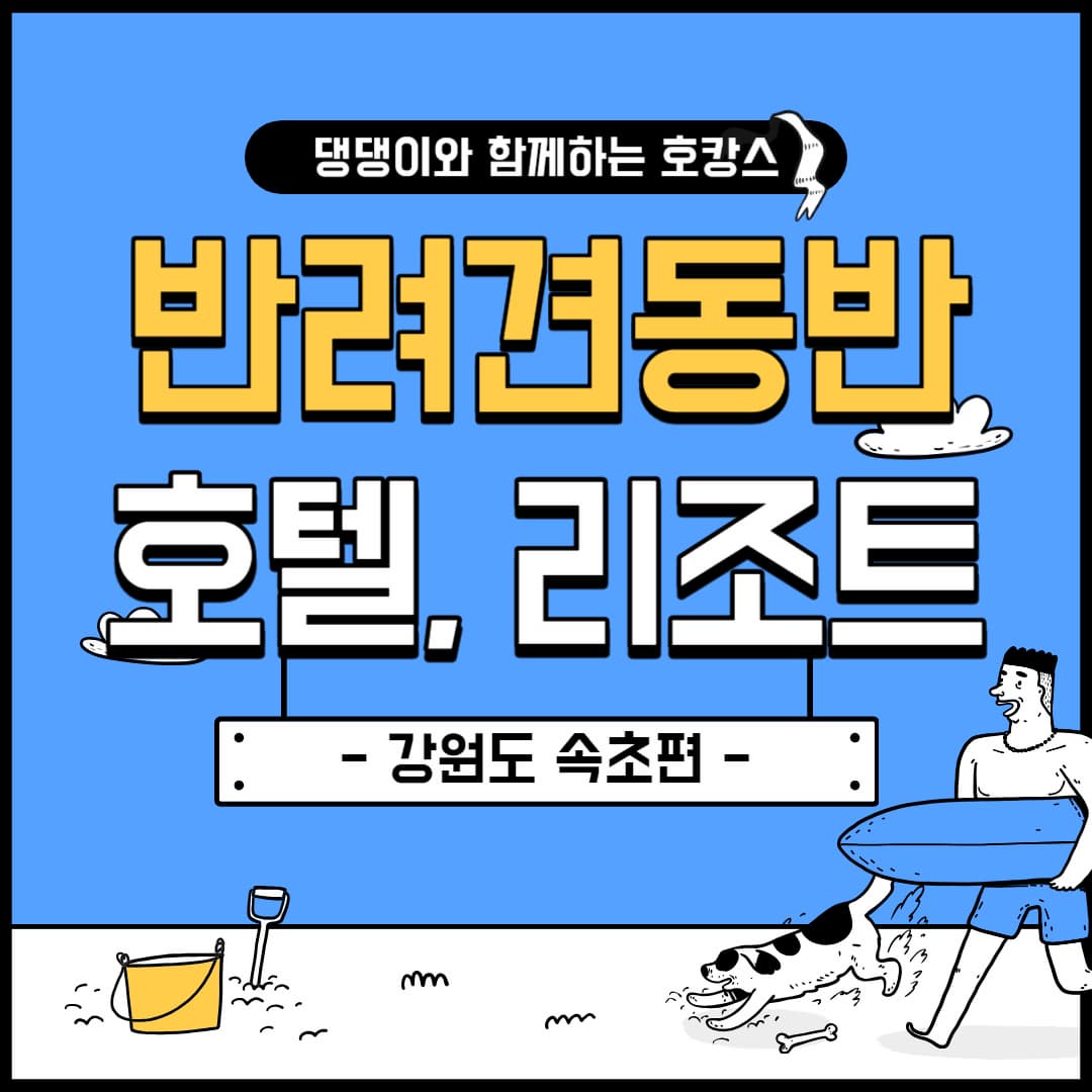 속초-반려견-동반-숙소-리조트-호텔-추천
