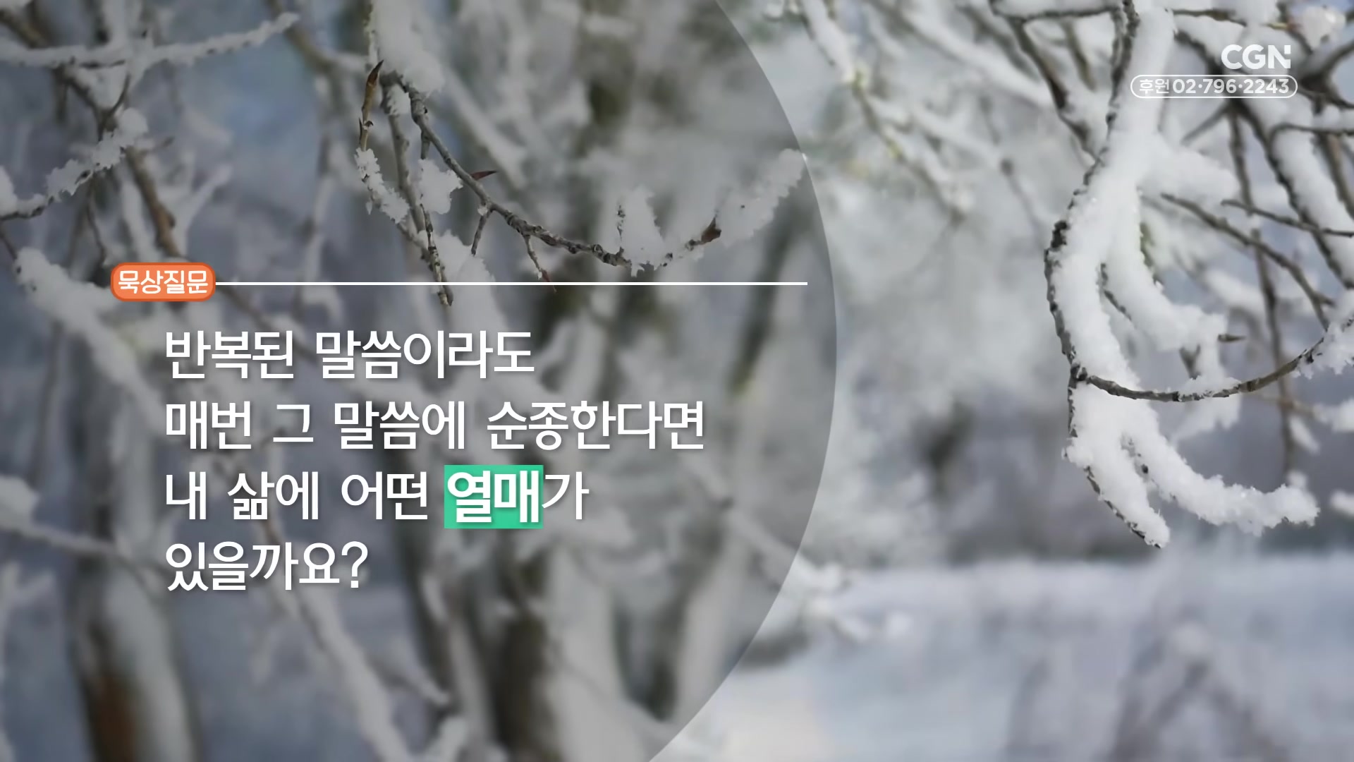 반복된 말씀이라도 매번 그 말씀에 순종한다면 내 삶에 어떤 열매가 있을까요?