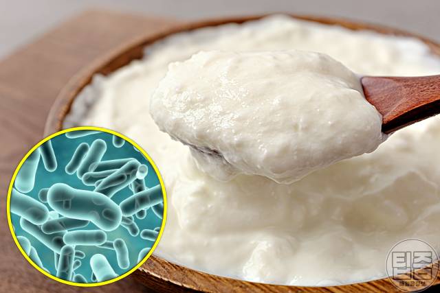 심장에 좋은 음식 그릭요거트 심장병 박사 추천