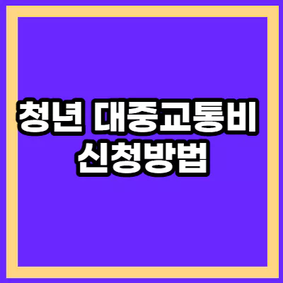 청년 대중교통비 지원