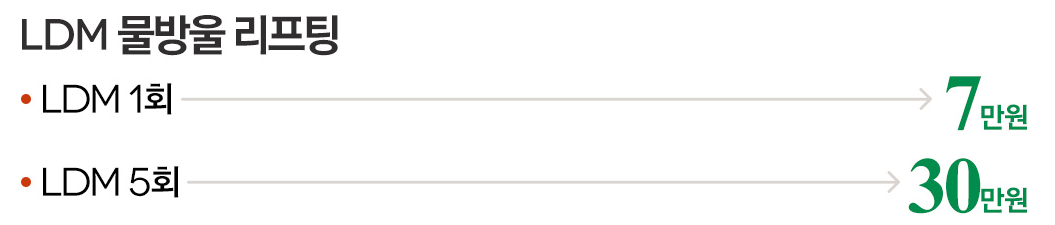 LDM 물방울 리프팅 가격