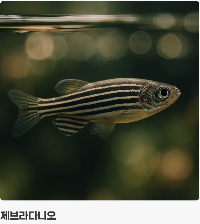 BEST 1 &amp; 2: 어항 상층부를 책임질 활기찬 친구들